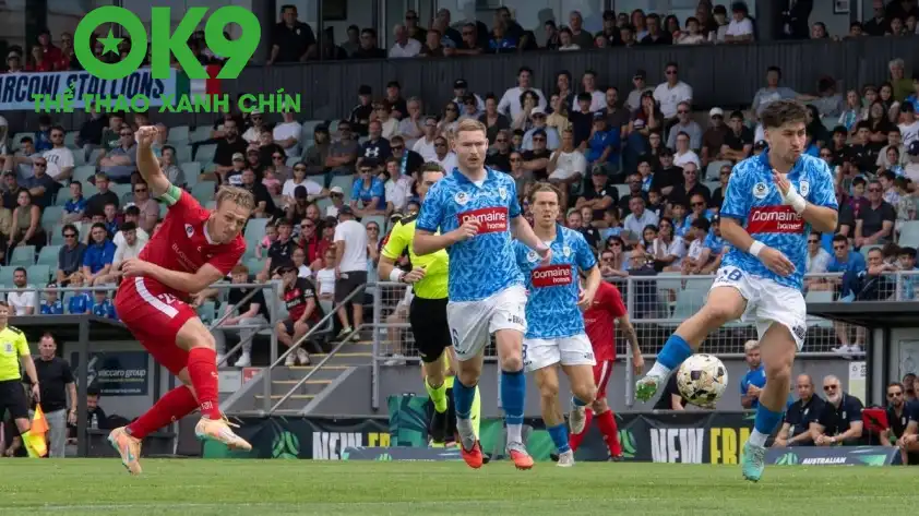 Wollongong Wolves và Marconi Stallions nhiều khả năng sẽ tạo nên một trận đấu kịch tính và khó lường. Wollongong Wolves và Marconi Stallions nhiều khả năng sẽ tạo nên một trận đấu kịch tính và khó lường.